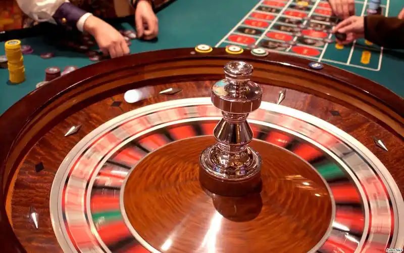 qxbet ক্রিকেট অডসে গোপনীয়তা ও দায়িত্বশীলতা